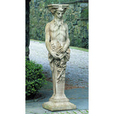 Photo of Campania Tall Satyr - Marquis Gardens